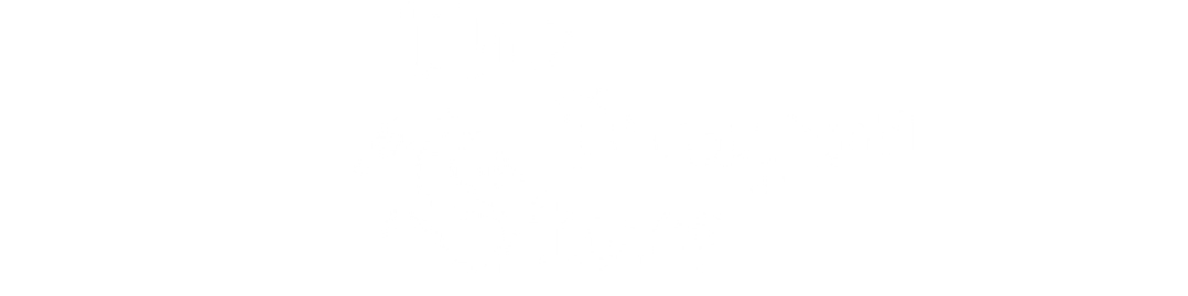 The Dragon Store